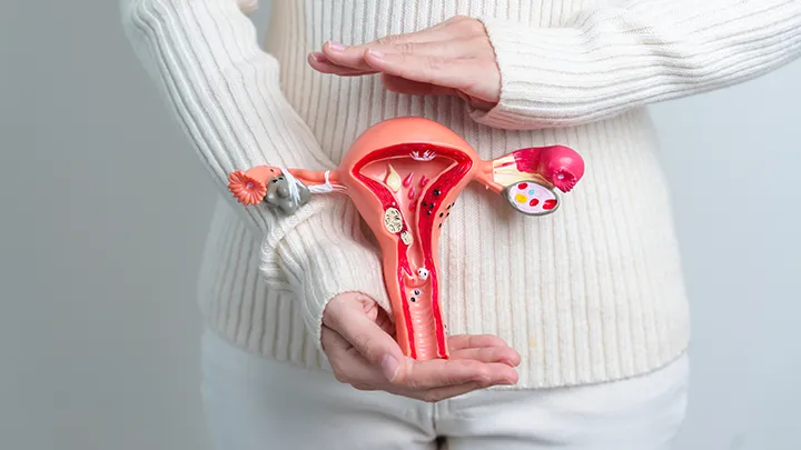 Kadın Doğum Hastalıkları: Belirtileri ve Erken Teşhisin Önemi